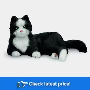 Realistic and Lifelike Interactive Companion Cats