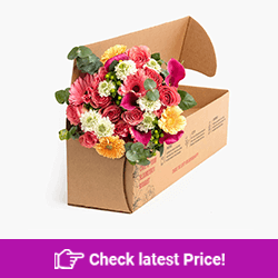 Beautiful Bouquets: Mixed Flowers