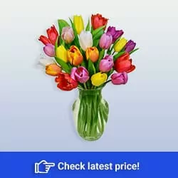 Flowers – Rainbow Tulip Bouquet – 20 Stems (Free Vase Included)
