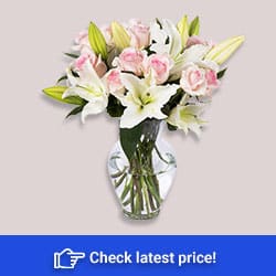Flowers – Rainbow Tulip Bouquet – 20 Stems (Free Vase Included)