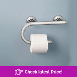 Moen Integrated Toilet Paper Holder