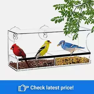 Clear Window Bird Feeders with Strong Suction Cups