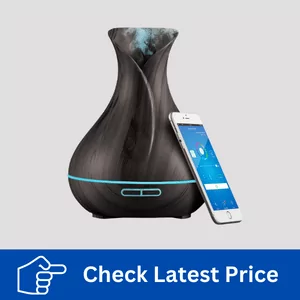 smart diffuser and humidifier